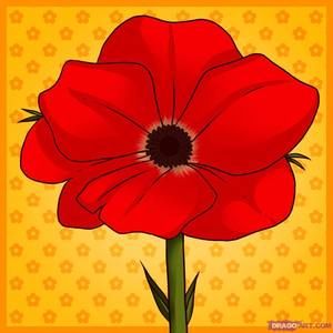 Meet your Posher, Jennie